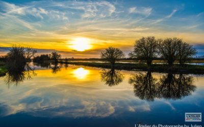 Un après-midi de Noël 🌅📸