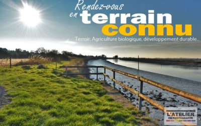 📘Un premier livre comme nouveau projet !!!