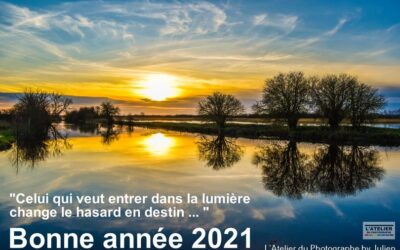 Pour cette nouvelle année,