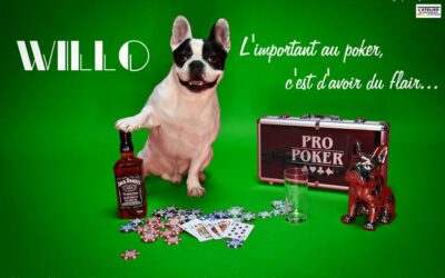 L’Atelier du Photographe by Julien / Carentan – Manche – Normandie, des photos qui ont du chien !!! 😜