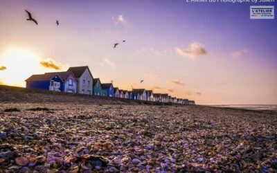 🏘️Ravenoville sera toujours Ravenoville… 🌅