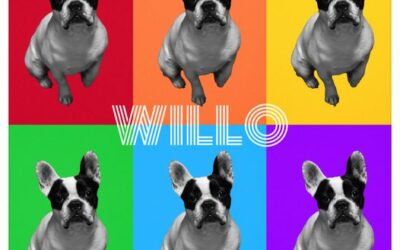 🐾 WILLO
