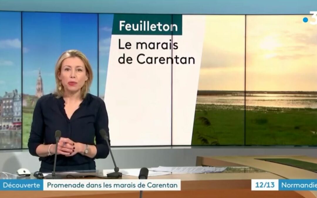 📺👀 C’était ce midi dans le 12/13 de France 3 Normandie.