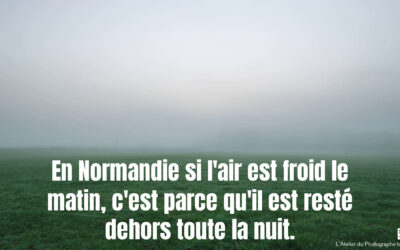 ⚠️ Ceci est un petit clin d’œil 😉