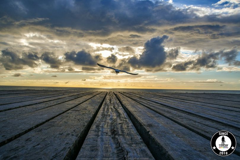 Bonne soirée à toutes et à tous depuis Fécamp…