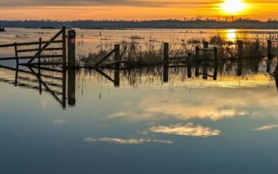 Découvrez [Marais blancs, parole de photographe]