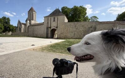🤫 Silence !!! 🎬 Ça tourne !!!